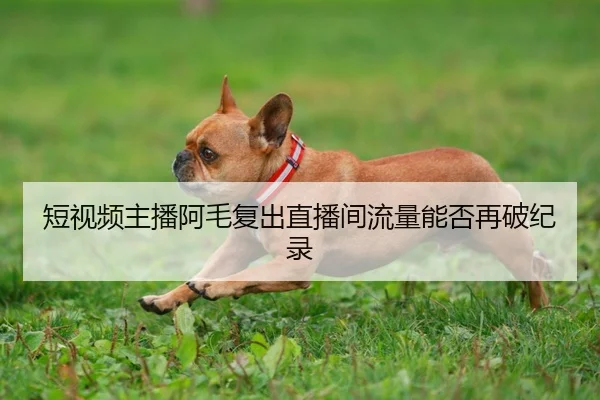 短视频主播阿毛复出直播间流量能否再破纪录